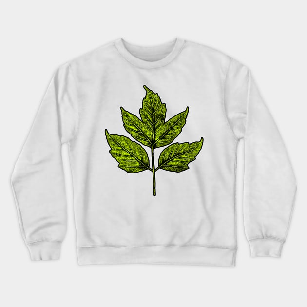 Leaf Boxelder Maple Crewneck Sweatshirt by Nikokosmos